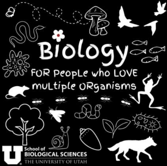 Picture of "Biology, for those who love multiple organisms" Sticker